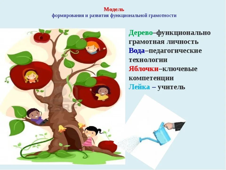 Функциональная грамотность 3 класс фгос. Модель функциональной грамотности. модель формирования и развития функциональной грамотности. дерево функциональной грамотности. функциональная грамотность дошкольников.