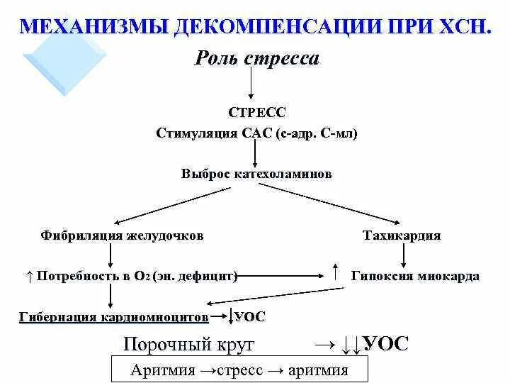 Декомпенсация хронической сердечной недостаточности. Механизмы декомпенсации сердечной недостаточности. Хроническая сердечная недостаточность механизм. Хроническая сердечная недостаточность патогенез. Механизм хронической сердечной недостаточности.