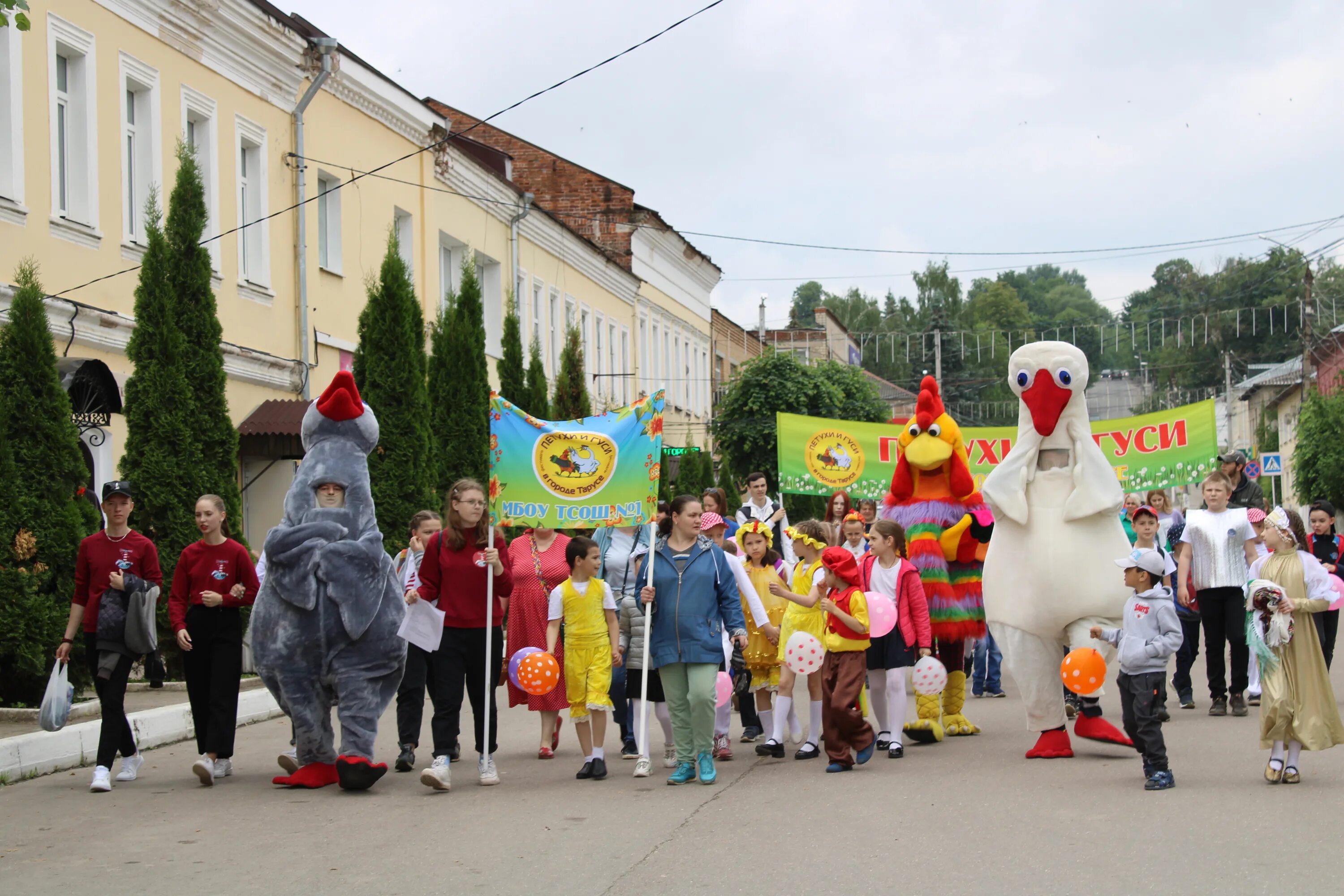 Таруса петухи гуси. Петухи и гуси в городе тарусе фестиваль. петухи и гуси в городе тарусе 2025. фестиваль петухи и гуси в городе тарусе 2025.