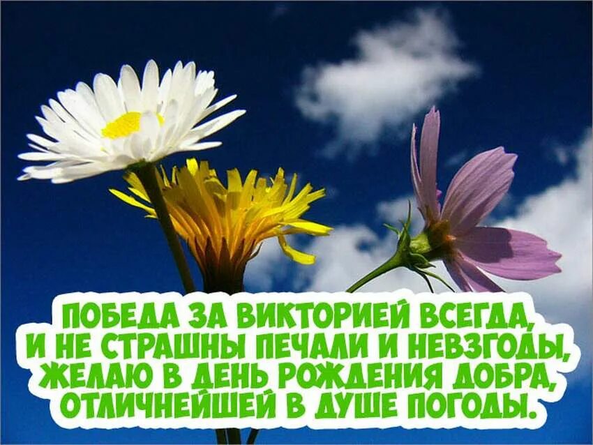 Стихи про викторию. С днём рождения Вика стихи. Викторияс днём рождения. Поздравление Виктории с днем рождения смешные.