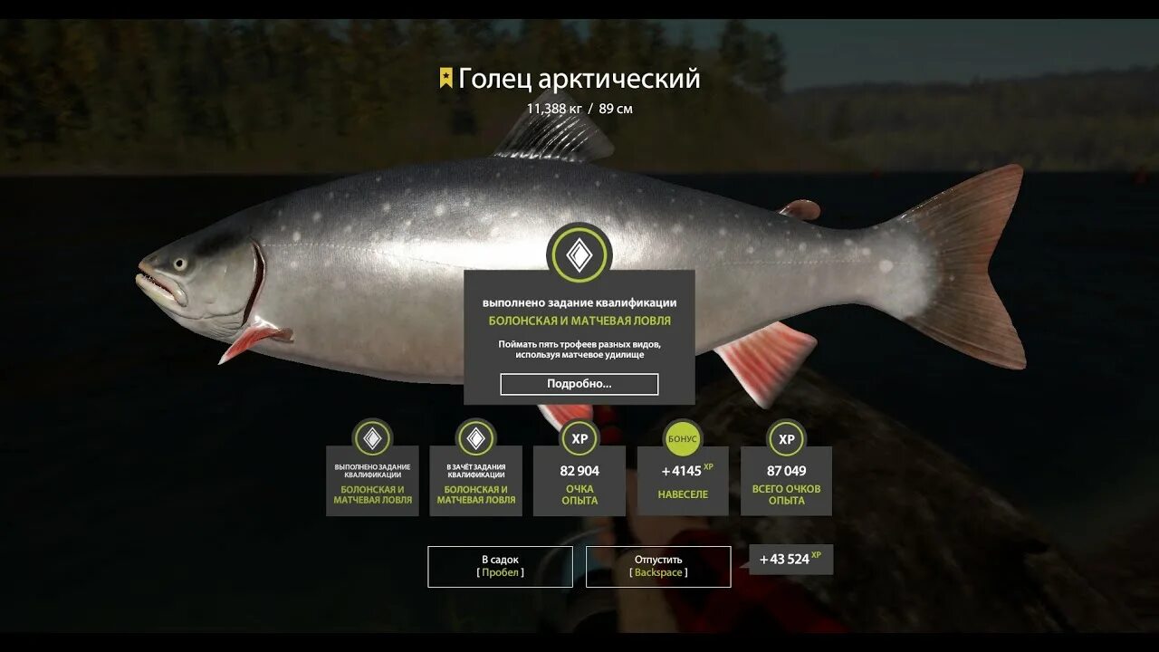 Голец реальная рыбалка. Голец реальная рыбалка
