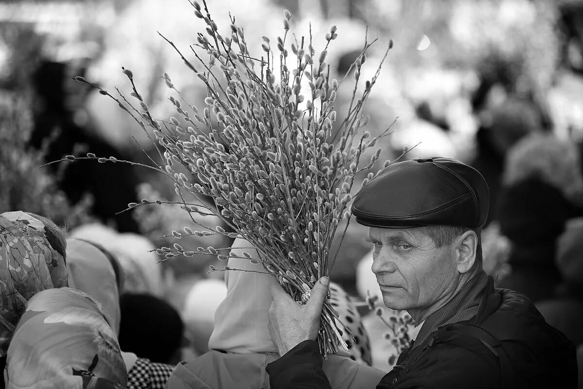 Пересадить цветы в вербное воскресенье. С вербным воскресеньем. с вербным воскресеньем фото. вербное воскресенье 2014. вербное воскресенье картинки.