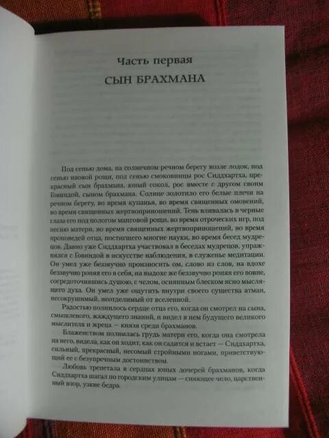 Гессе нарцисс и златоуст. Магический театр Степной волк.