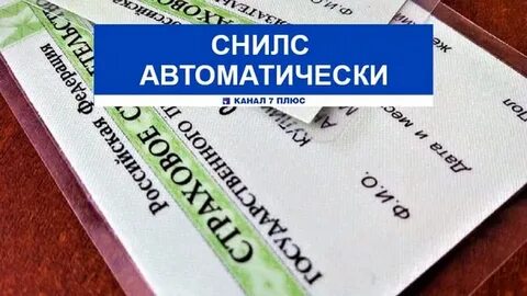 Не приходит снилс на ребенка