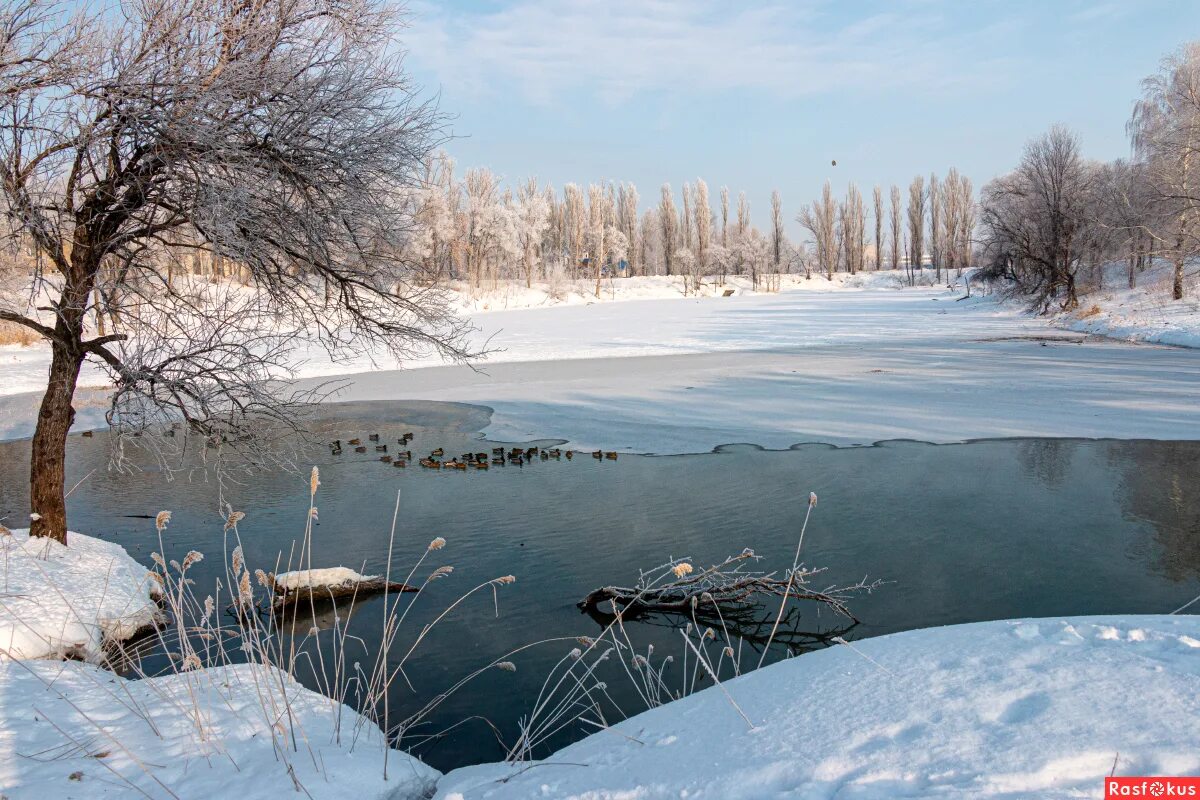 Промоины и полыньи. Полынья башунов. Полынья предложения. Ранний ледостав. Полынья предложения.