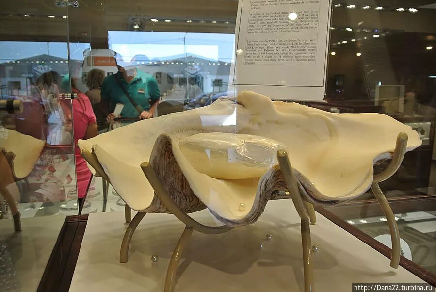 жемчужина пуэрто. жемчужина пуэрто-принцесса. жемчужина пуэрто-принцесса.