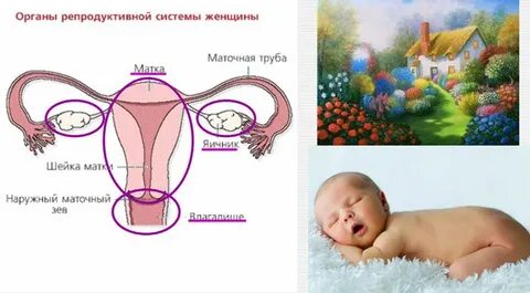 Нарушение репродуктивной системы женщин