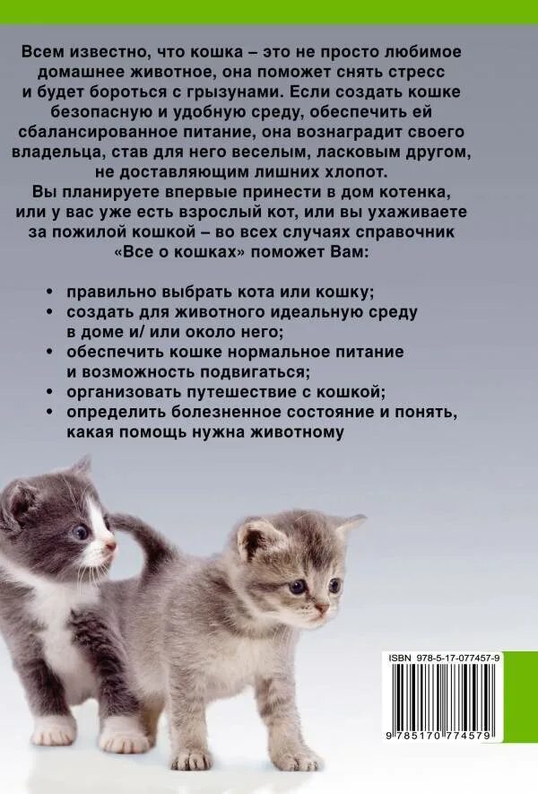 Какую кошку выбрать ребенку. Кошка выбирает. какую кошку выбрать. описание домашнего котенка. самая безопасная кошка.