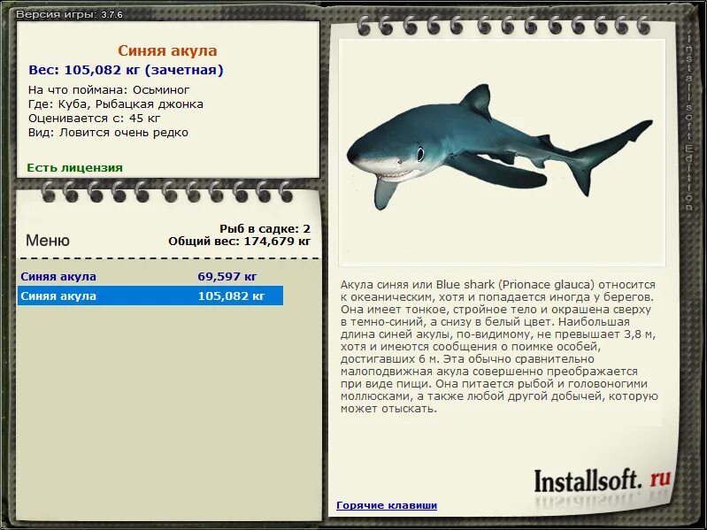 вес акулы. сколько весит большая акула. сколько весит большая акула. сколько весит большая акула. акула размеры и вес.