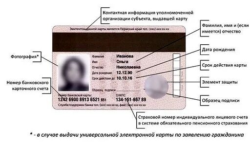 Где получить пластиковую карту ветерана