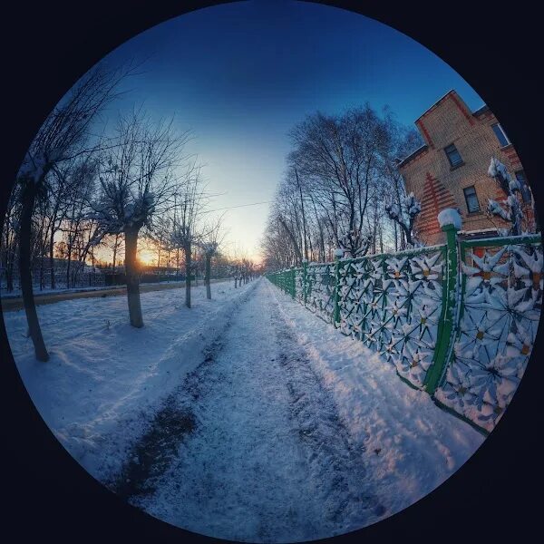 Сердобск березки. Сердобск ул Сорокина 84. Сорокино 84 Сердобск больница. Куркино Сердобск фотосессии.