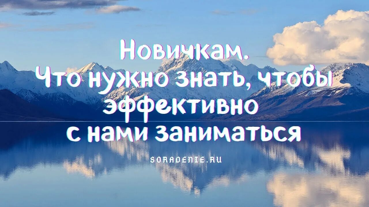 Сорадение сайт. Весталия канал сорадение. Гарат сорадение биография. Сорадение Родина. Сорадение.ру.