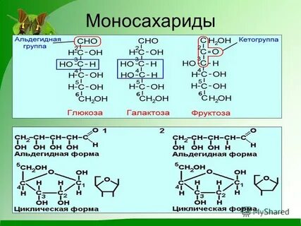 Сульфат фруктозы