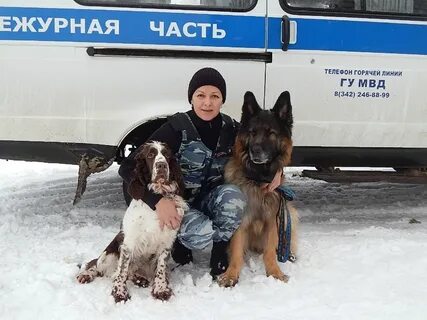 Поступление на кинолога