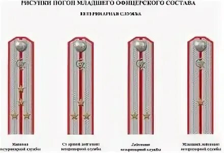 Погоны младшего офицерского. Младший офицерский погон. Погоны офицеров младшего состава. Младший офицерский состав. Погоны младшего состава