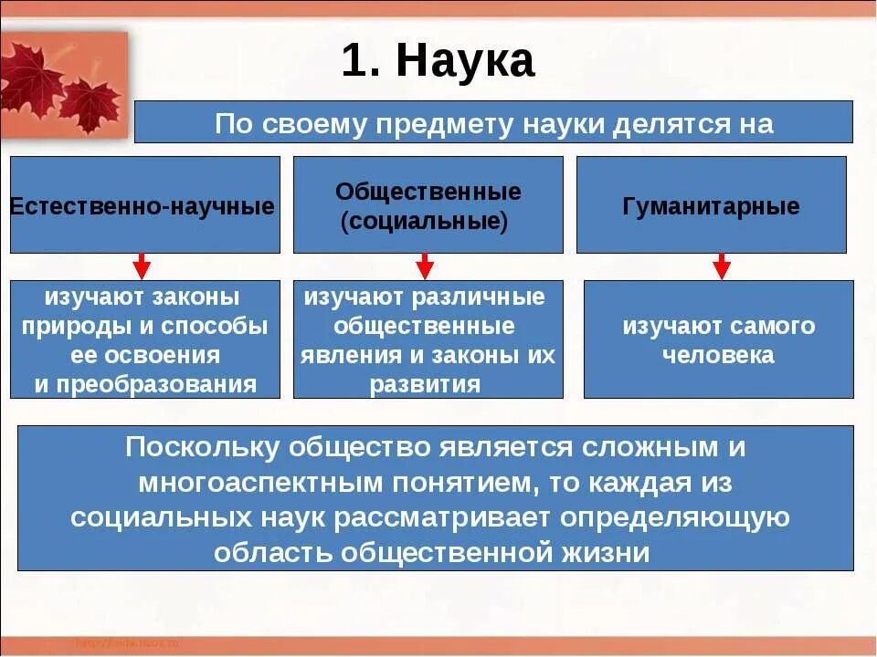 Программа социально гуманитарных наук. Предметы делятся на гуманитарные и естественные. наука делится на гуманитарные и. гуманитарные и естественные. естественные общественные гуманитарные и.