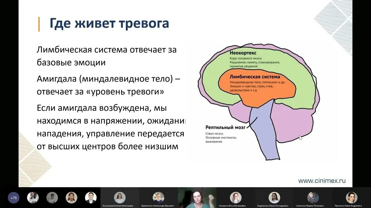 Методы снижения тревожности. Жить с тревогой. Жить с тревогой. Методы успокоения в стрессовой ситуации. Как справиться с тревожност.