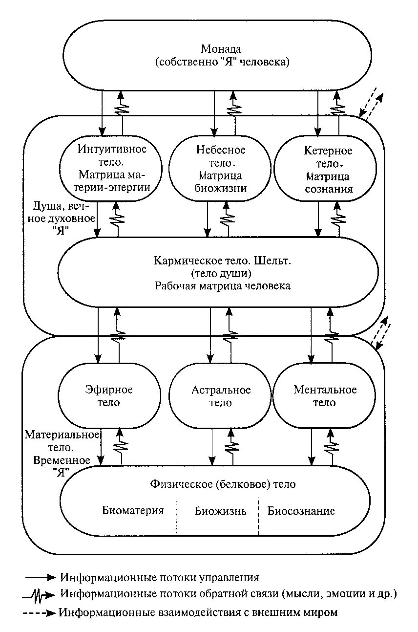 монада человека. структура монады человека. монада человека. структура монады. монада человека.