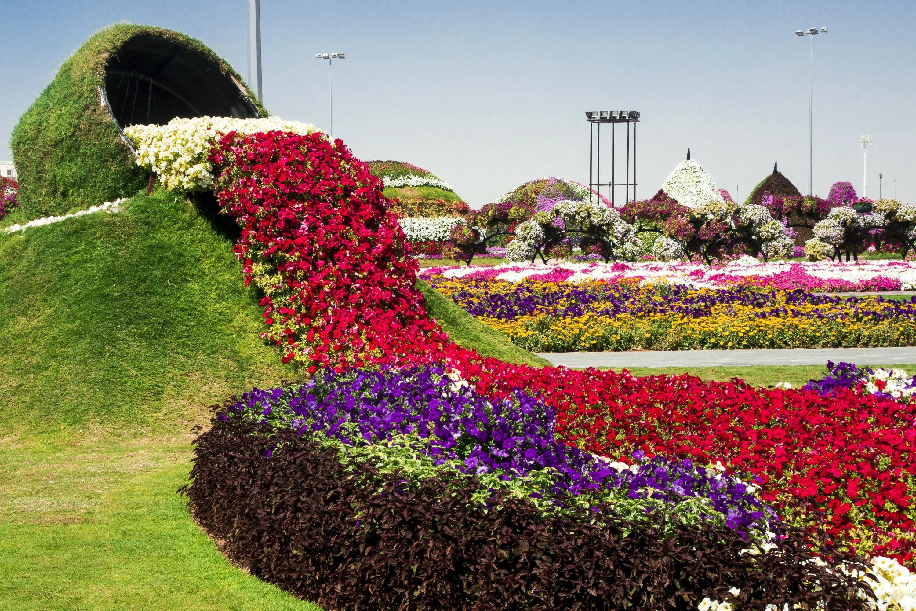 Миракл Гарден Дубай. Миракл Гарден парк цветов Дубай. Dubai Miracle Garden амфитеатр. Дубайский парк "сад чудес" (Miracle Garden).