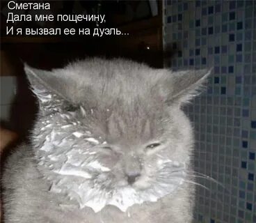 Да я никакой