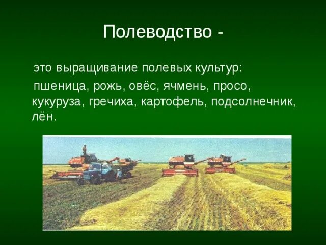 Проект по окружающему миру 4 класс растениеводство