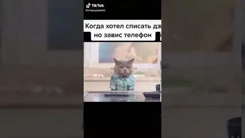 Хочу списать