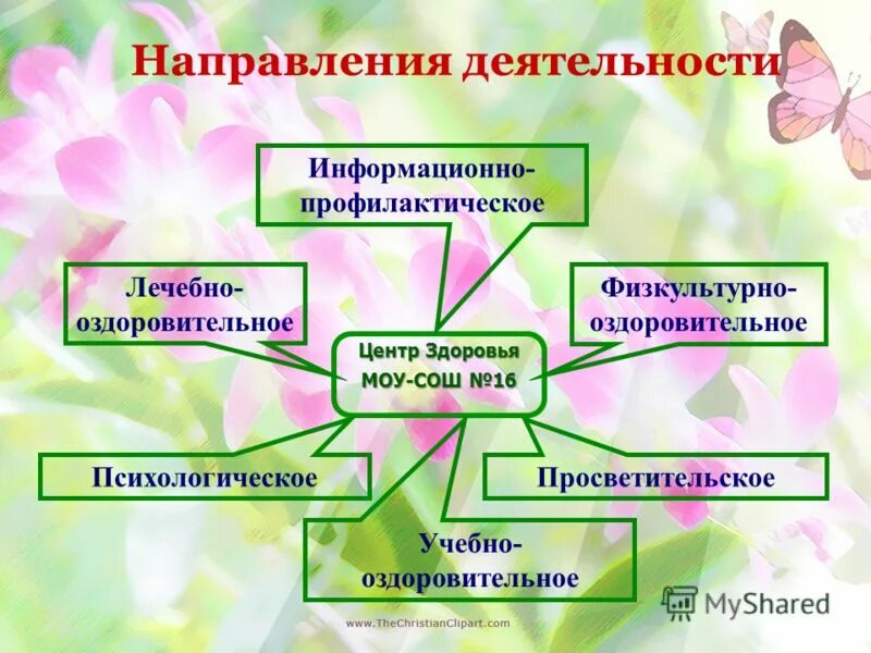 Основные направления профориентации. Направления работы центра. Направления работы центра. Муниципальный опорный центр. Детский развивающий центр направления.