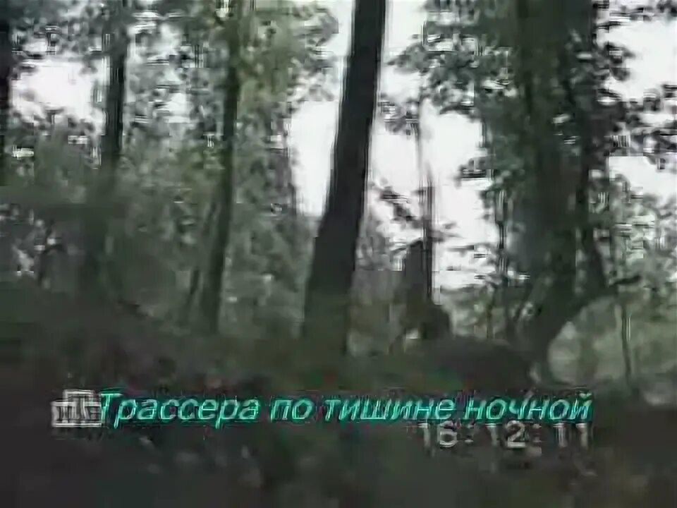 А у разведчика судьба. А у разведчика судьба порой коротка. а у разведчика судьба порой контингент. песня а у разведчика судьба порой коротка как рукопашный. а у разведчика судьба порой текст.