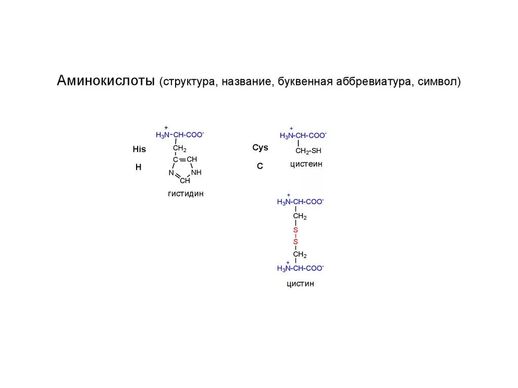 Клетки состоят из аминокислот. Амины и аминокислоты строение. Схематическое строение аминокислоты. Молекулярное строение аминокислот. Строение аминокислот химия.