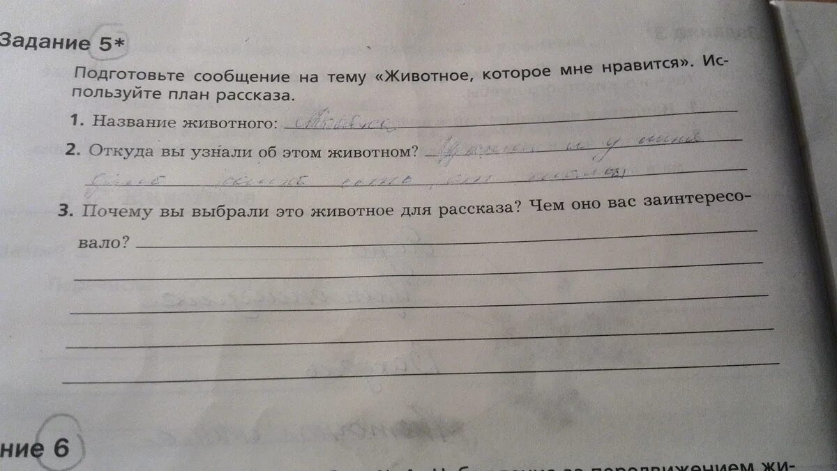 Составь план рассказа используя следующие вопросы. Животное которое мне Нравится используйте план рассказа.