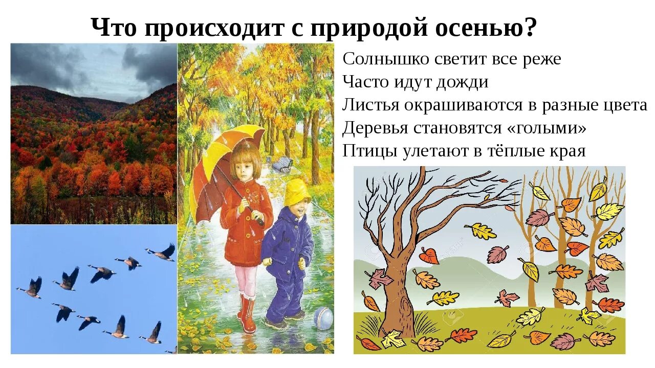 Название основного признака изменения в природе осенью. Признаки осени. сезонные изменения осенью. природа осенью для дошкольников. изменения в природе осенью для детей.