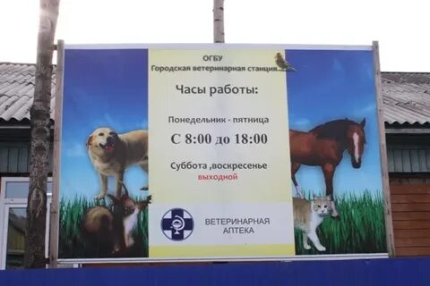 Часы работы ветеринарной
