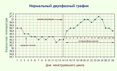 Температура на ранних сроках отзывы