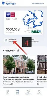 Как оплачивать с пушкинской карты с телефона