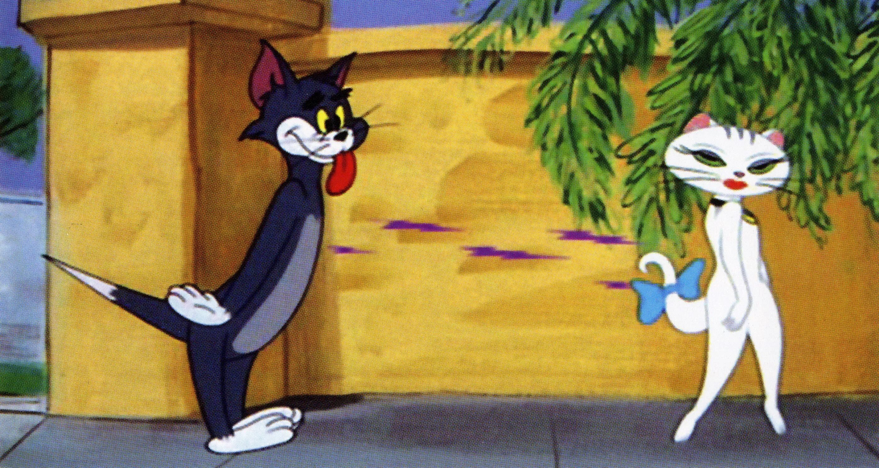 Том смотрит в книгу. Tom and Jerry 2012. Кошечка кудлс из том и Джерри. Том и Джерри 1972. Том и Джерри том и кошка.