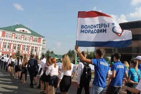 Свои волонтерская организация