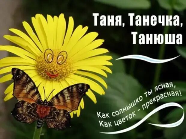 С днем тани танечки. Таня Танечка Танюша. Открытка для Танюшки. Добрый день Танюша. Открытки с добрым утром Танечка.