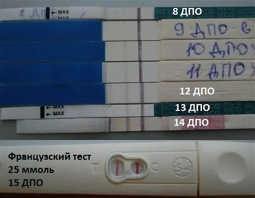 Забеременела после овуляции форум. 7-8 ДПО тест эвитест. Положительные тесты на беременность на 7 день после овуляции. 8 ДПО тест на беременность. 7 ДПО тест на беременность положительный.