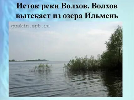 Устье реки волхов