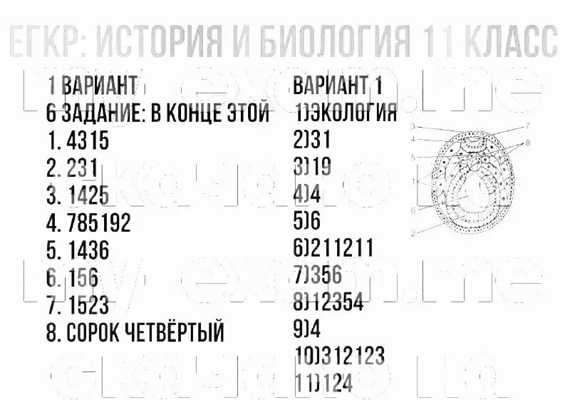 Егкр биология 11 класс 2025. Егкр биология 11 класс 2025