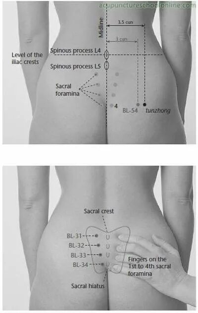 Хуань тяо точка акупунктуры. Схема расположения точки g. Хуань тяо точка как найти. Точка Хуань тяо где находится. B идеальная точка