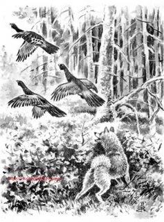 Тайга охота книги читать