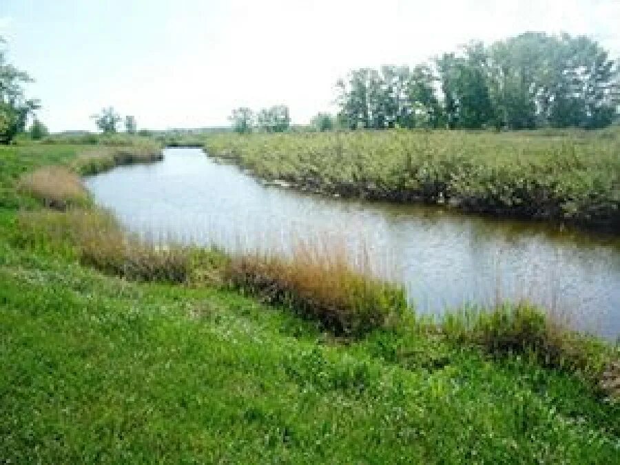 Село нижняя Суетка, Суетский район, Алтайский край. Река Суетка Алтайский край. Нижняя Суетка Суетский район. Нижняя Суетка Алтайский край Суетский район.