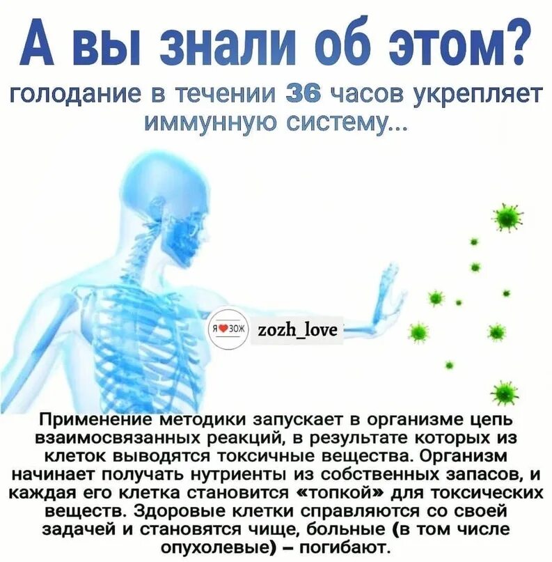 Голод и кишечник. Сухое лечебное голодание. сухое голодание 36. сухое голодание 36 часов. сухое голодание польза.
