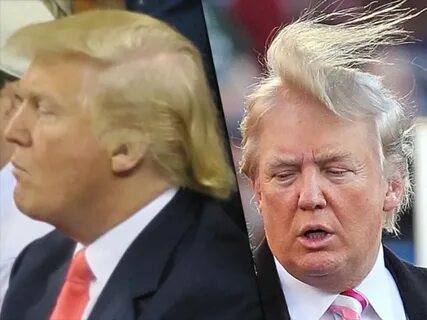Станет ли трамп
