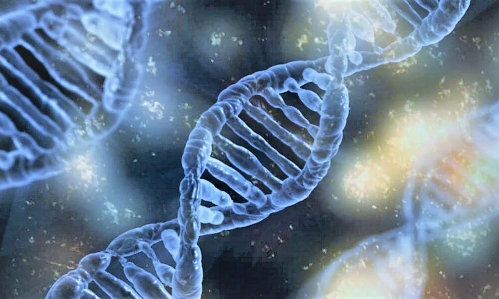 ДНК нанотехнологии. Биологические нанотехнологии. Нанотехнологии в биологии. Наночастицы ДНК.