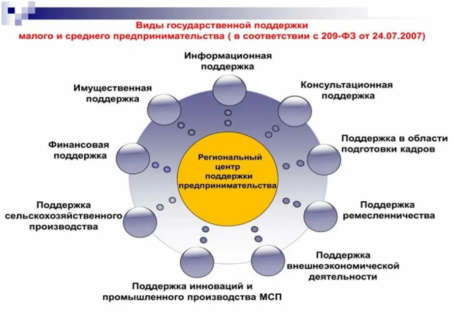 Ответственностью руководителя программы