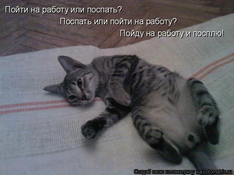 Куда пойти работать если не хочешь работать