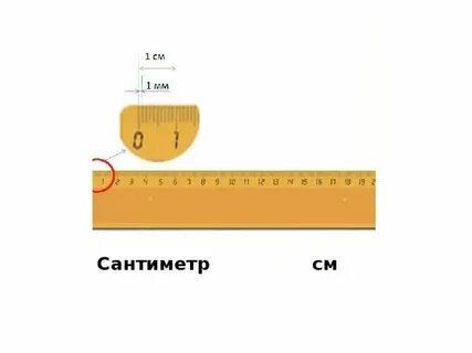 Что в длину 18 сантиметров