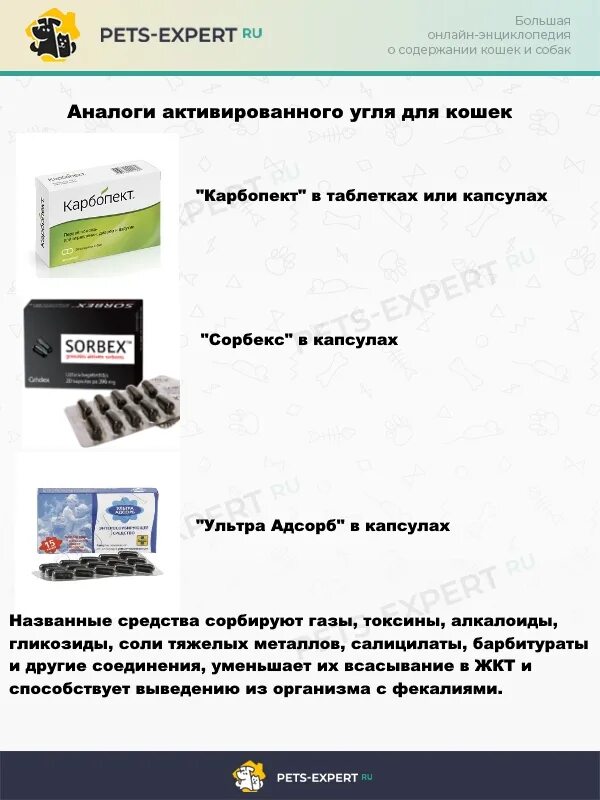 Можно ли давать кошке уголь. Аналог активированного угля в таблетках. Препараты с углем активированным. Активированный уголь аналоги. Угольные таблетки аналогичные препараты.